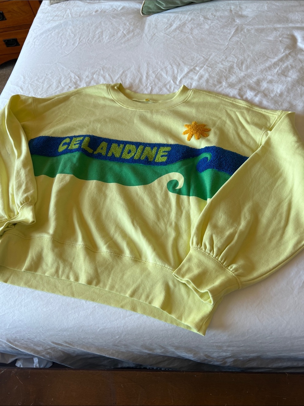 Anthropologie  'Gelandine'  Sweatshirt
